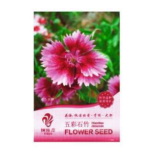 五彩石竹 花卉 種子 50粒(花語(yǔ):純潔的愛(ài) 才能 大膽)- 家庭 盆栽 花卉 種子 陽(yáng)臺(tái) 種植 【PRIS】 價(jià)格 報(bào)價(jià) 圖片 - 亞馬遜中國(guó)