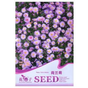 津沽園藝 荷蘭菊 柳葉菊種子 花卉種子 花籽 盆栽種植 陽(yáng)臺(tái)種植 5包 【津沽園藝】 價(jià)格 報(bào)價(jià) 圖片 - 亞馬遜中國(guó)