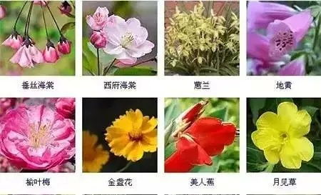 花這么多,值得收藏