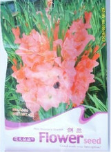 【劍蘭種子】最新最全劍蘭種子 產品參考信息