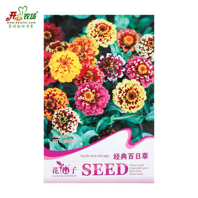 開心農場 陽臺室內易種花卉種子 粉紅黃青蘋果小花素妃大麗紅菊橙菊花百日草花卉種子 花卉種子 橙菊花百日草 - 京東