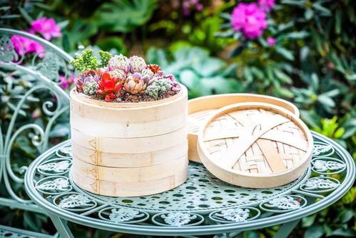 家國情懷意蘊遠,花開富貴迎新春,辰山植物園2022新春花卉展即將開幕