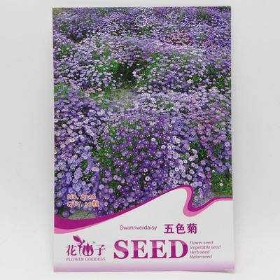 草花彩袋種子 彩包花卉種子【五色菊】陽臺庭院種植 盆栽 家庭實用裝 約30粒-宿遷市國豪園林工程提供草花彩袋種子 彩包花卉種子【五色菊】陽臺庭院種植 盆栽 家庭實用裝 約30粒的相關介紹、產品、服務、圖片、價格宿遷市國豪園林工程、種苗、花卉種子、園藝用具、盆栽、綠化苗木
