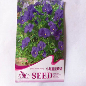 室內盆栽花卉 觀花種子 三色堇花卉種子 50粒 小角堇蘭玲瓏【圖片 價格 品牌 報價】-京東