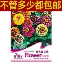 【國盛花卉】最新最全國盛花卉 產品參考信息