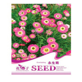 藍憶 菊類系列種子室內盆栽花卉植物種子多種 彩包種子 12永生菊20粒【圖片 價格 品牌 報價】-京東