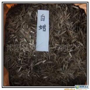 博雅花卉批發白蠟種子,歡迎訂購。_農副產品_世界工廠網中國產品信息庫