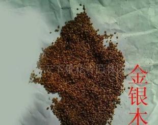 花卉種子[金銀木,海棠,臘梅]_世界工廠網中國產品信息庫
