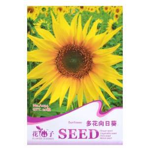 津沽園藝 多花向日葵種子5包 向陽花種子 花卉種子 多花易活 庭院美化 花園種植 【津沽園藝】 價格 報價 圖片 - 亞馬遜中國