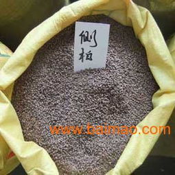 側(cè)柏 本產(chǎn)品 貨源充足 品質(zhì)優(yōu)良 價(jià)格合理 ,側(cè)柏 本產(chǎn)品 貨源充足 品質(zhì)優(yōu)良 價(jià)格合理 生產(chǎn)廠家,側(cè)柏 本產(chǎn)品 貨源充足 品質(zhì)優(yōu)良 價(jià)格合理 價(jià)格