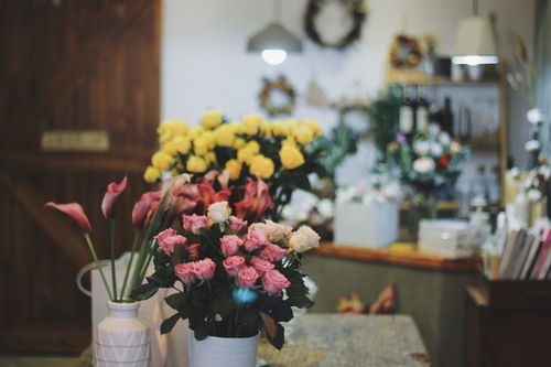 怎么注冊花店商標 花店電子商務商標注冊