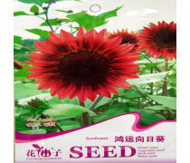 大向日葵種子企業黃頁