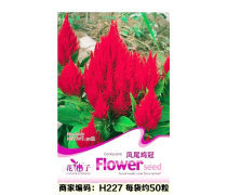 花卉火炬企業黃頁