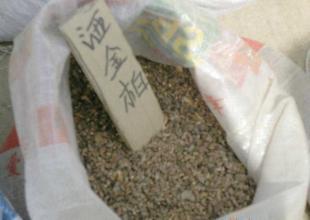 出售花卉種子 灑青柏種子_農副產品_世界工廠網中國產品信息庫