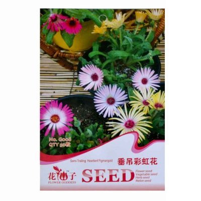 津沽園藝 花仙子系列 垂吊彩虹花種子 花卉種子 家庭盆栽 陽臺種植 庭院美化 1包:亞馬遜:家居裝修