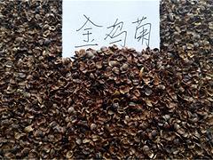 供應宿根花卉種子|優質金雞菊種子上哪買-青州市文霖花卉苗木種植專業合作社提供供應宿根花卉種子|優質金雞菊種子上哪買的相關介紹、產品、服務、圖片、價格金葉女貞、綠化草花種植基地、宿根花卉種植基地、草花種植基地、苗木種植基地、宿根花卉基地、