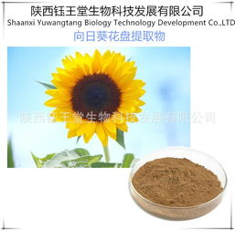 景觀花卉種子報價 廠家