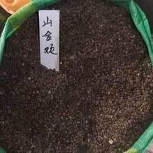 【合歡花種子】最新最全合歡花種子 產(chǎn)品參考信息