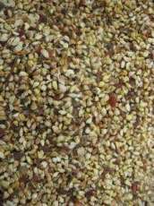 各種花卉種子、草坪種子