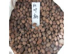 紅葉桃種子種植方法|花卉種子|花卉盆景|供應信息|597苗木網