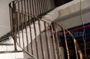 出售花卉種子 濕地松種子_農副產品_世界工廠網中國產品信息庫