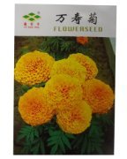 錦萱 萬壽菊種子 別稱: 臭芙蓉、萬壽燈、蜂窩菊、臭菊花、蝎子菊 家庭種植實用裝 陽臺室內盆栽花卉種子 庭院花種子 瓜果蔬菜種子:亞馬遜:家居裝修
