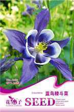 【藍鳥耬斗菜】最新最全藍鳥耬斗菜 產品參考信息