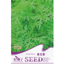 精品推薦驅(qū)蚊香草花卉種子