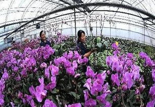 太牛了 常州這個(gè)區(qū)再次被國(guó)家看上,身價(jià)將暴漲