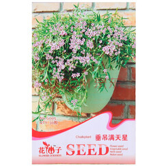 辦公室花卉選購指南 種類、成本與種子種植全解析