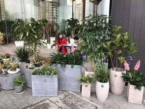 小花分享專欄第三期 藝術設計如何為花卉種子注入生命力